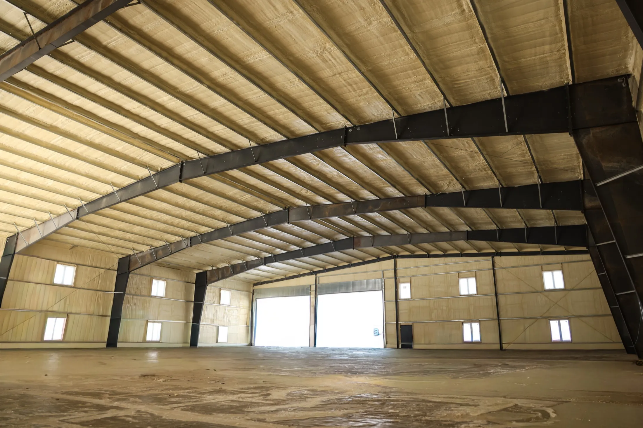 Foam Roofing